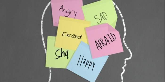 Notions de psychologie : « Adolescence & Expatriation ».