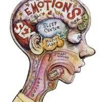 Notions de psychologie pour parents 