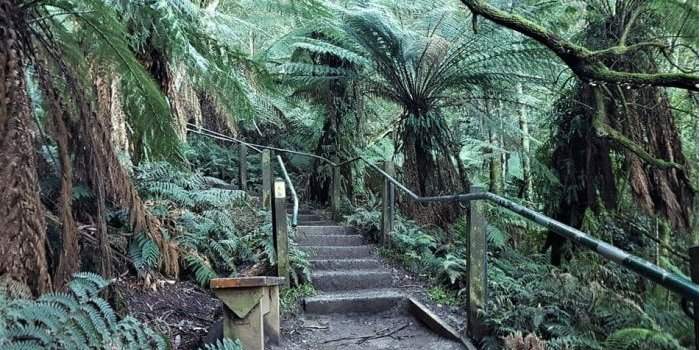 Randonnée dans les 1000 steps