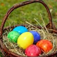 Chasse aux oeufs de Pâques