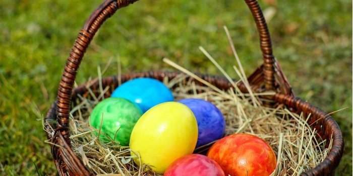 Chasse aux oeufs de Pâques